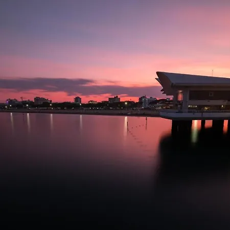 Viola * Lignano Sabbiadoro