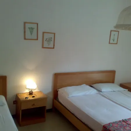 Viola Apartment
